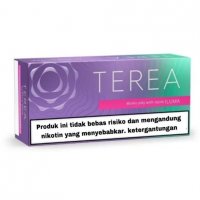 Heets Terea Purple Wave from Indonesia 10 cartons